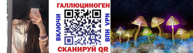 купить закладку  Пугачёв  Галлюциногенные грибы прущие грибы 
